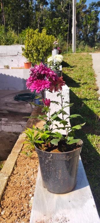 Red Wine Homestay  Vacation rental in Karnataka
