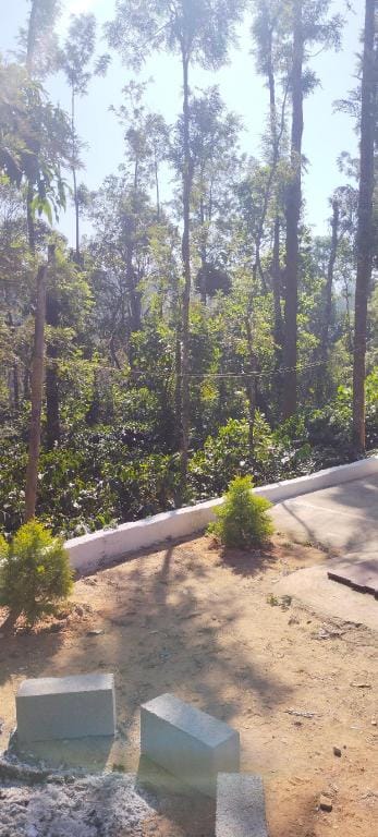 Red Wine Homestay  Vacation rental in Karnataka