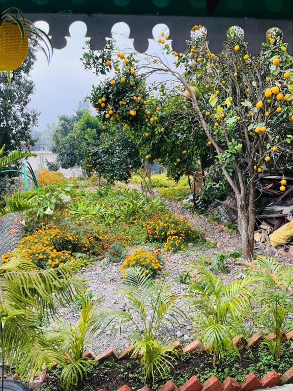 Garden Hut Vacation rental in Uttarakhand