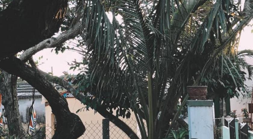 LOAN ANH HOMESTAY  Vacation rental in Vietnam