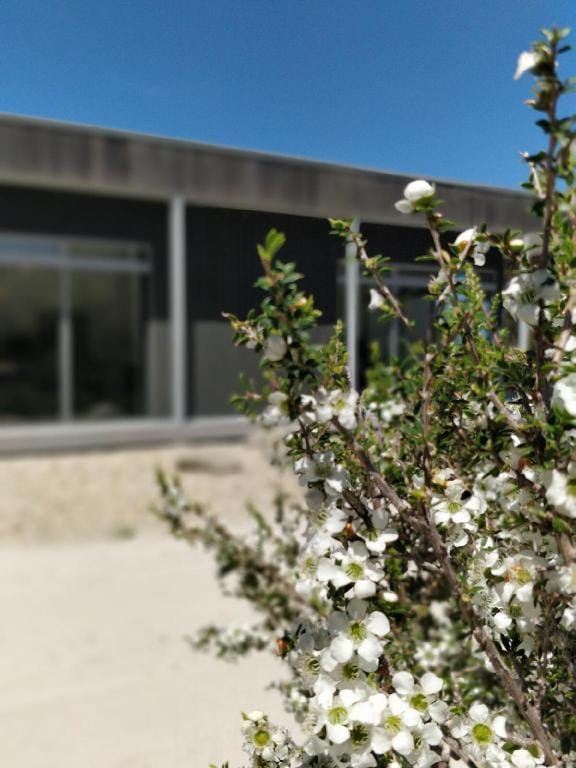 Aplite House: Luxury Eco Accommodation Vacation rental in Tasmania
