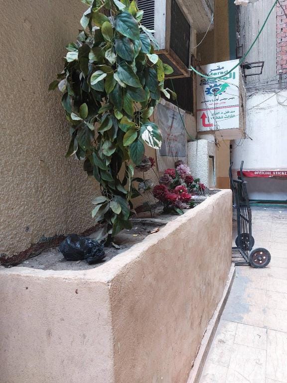 Distinctive hotel apartment next to Dokki metro st Apartment in Egypt