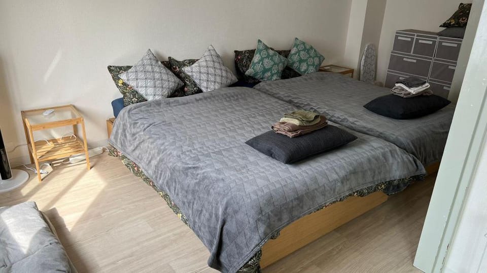 ShinOsaka 30s/Direct Kansai Airport/Umeda 6mins/1 Apartment in Osaka