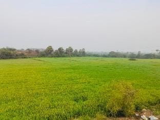Holiday spot- Farm house -3hours -from hyderarabad Vacation rental in Telangana