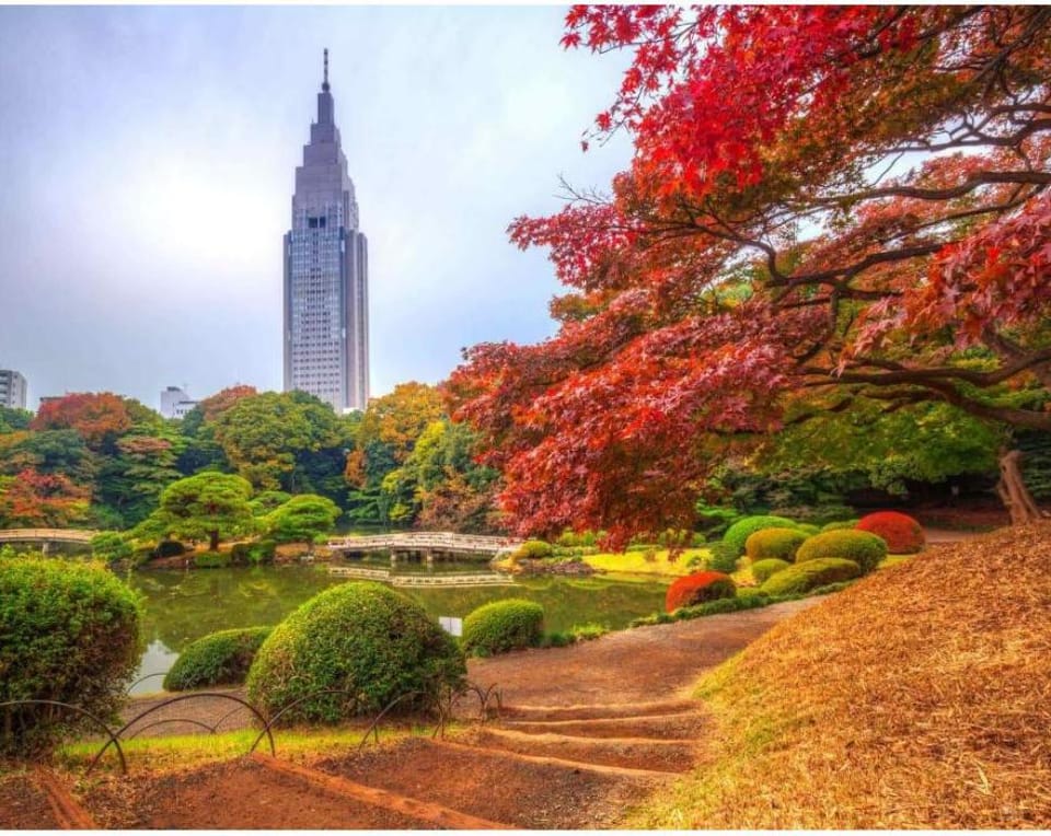 D43-MAX 3P,4mins to STA，Shinjuku Center. Apartment in Shibuya