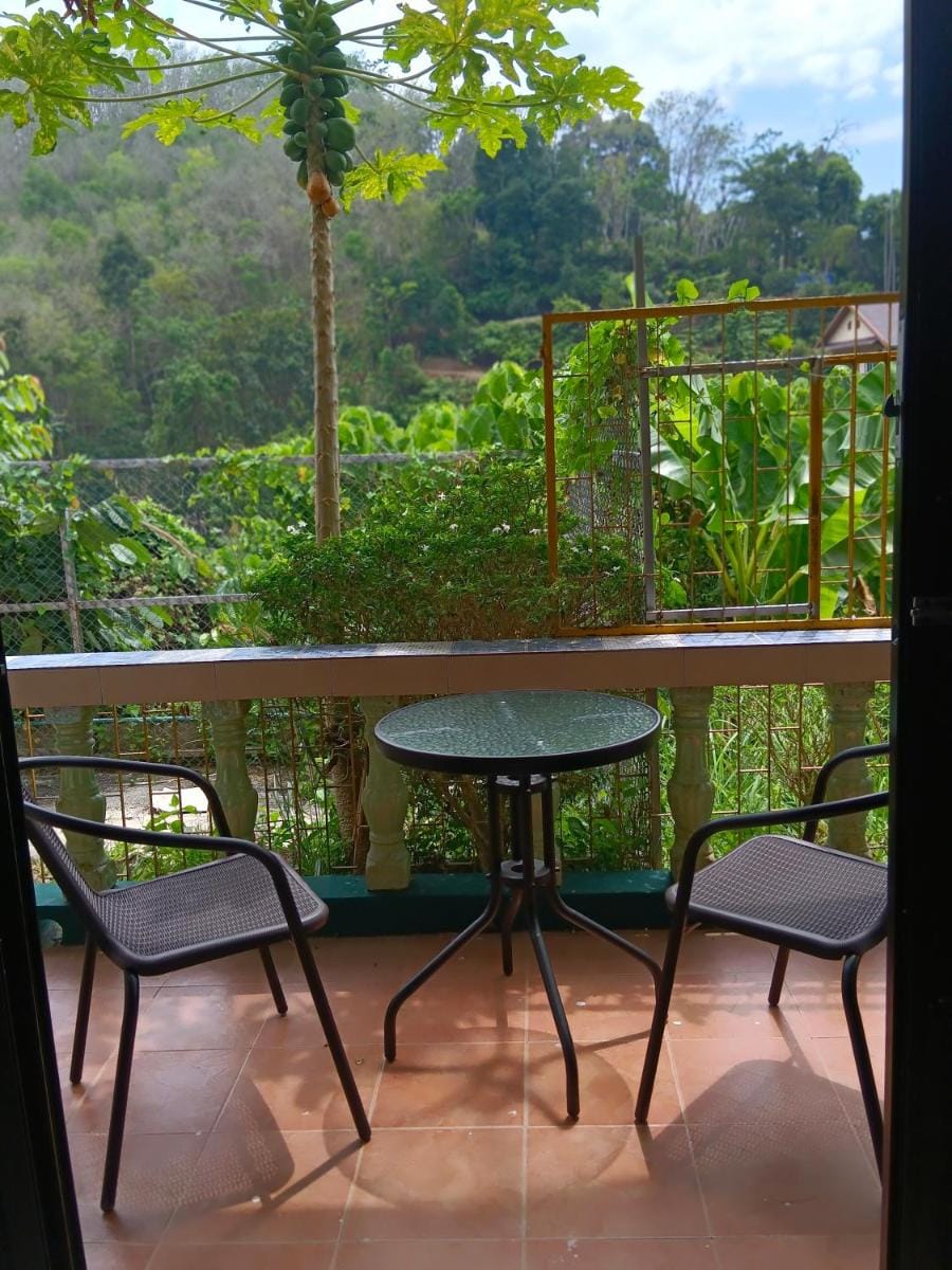 Green House Vacation rental in Patong
