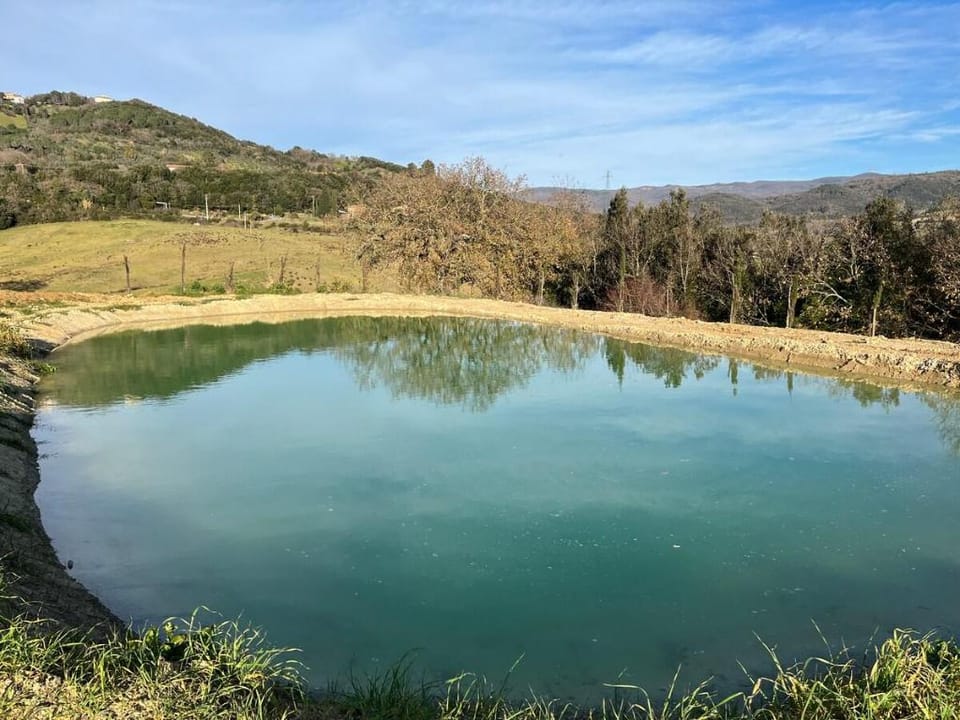 Agriturismo Villa Adelmo unico appartamento Apartment in Tuscany