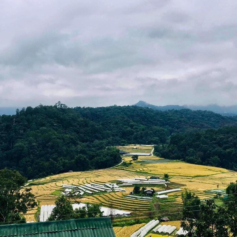 Motho Homestay , Mountain and rice field view 2pax Vacation rental in Thailand