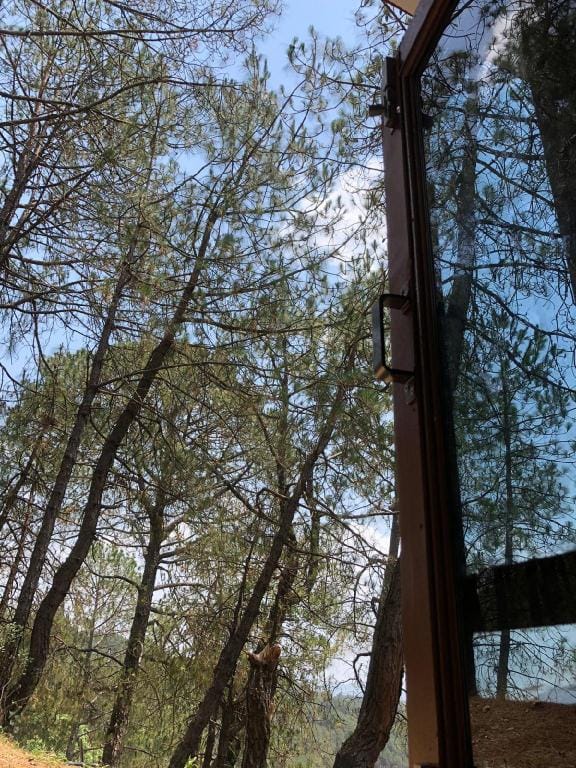 Jugle Cave Home Stay Vacation rental in Punjab, India