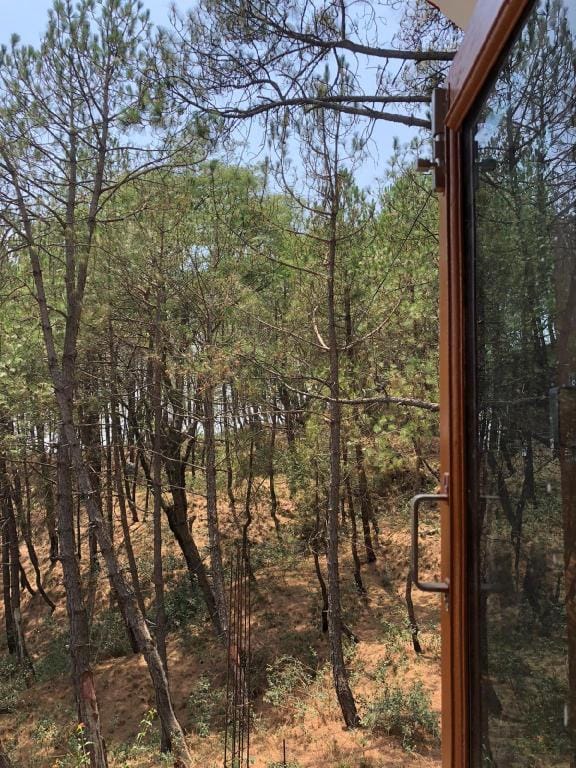 Jugle Cave Home Stay Vacation rental in Punjab, India