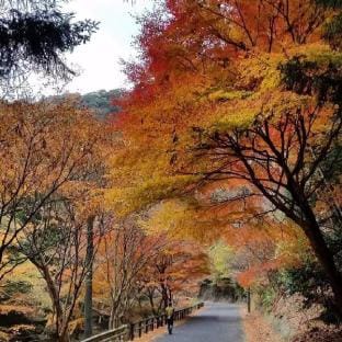 Midori Guesthouse&Hostel 2인실 Vacation rental in South Korea