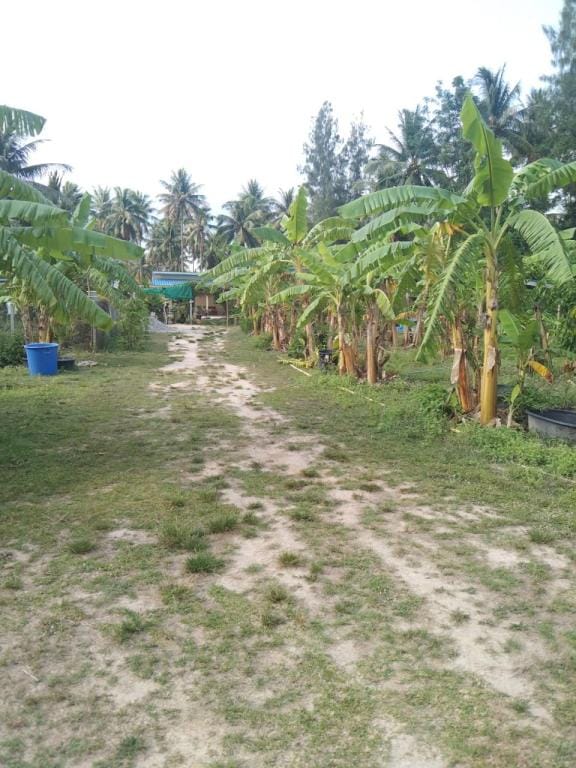Open Gate Garden House Vacation rental in Prachuap Khiri Khan, Thailand