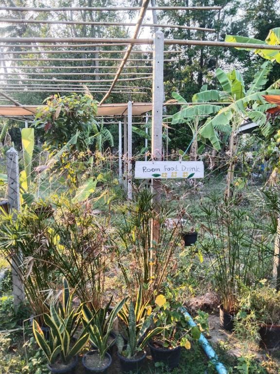 Open Gate Garden House Vacation rental in Prachuap Khiri Khan, Thailand