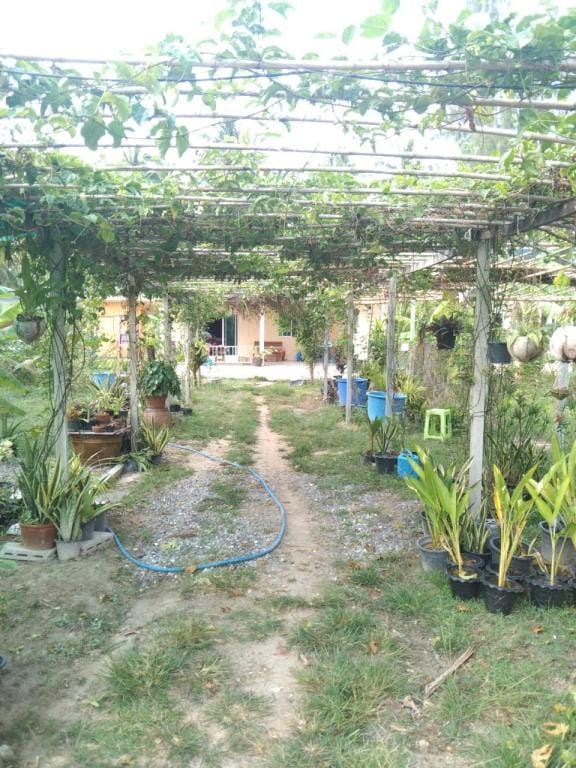 Open Gate Garden House Vacation rental in Prachuap Khiri Khan, Thailand