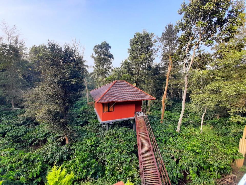 Tree House Villa in Kerala