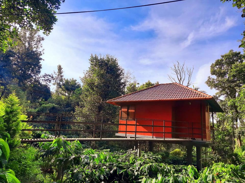 Tree House Villa in Kerala