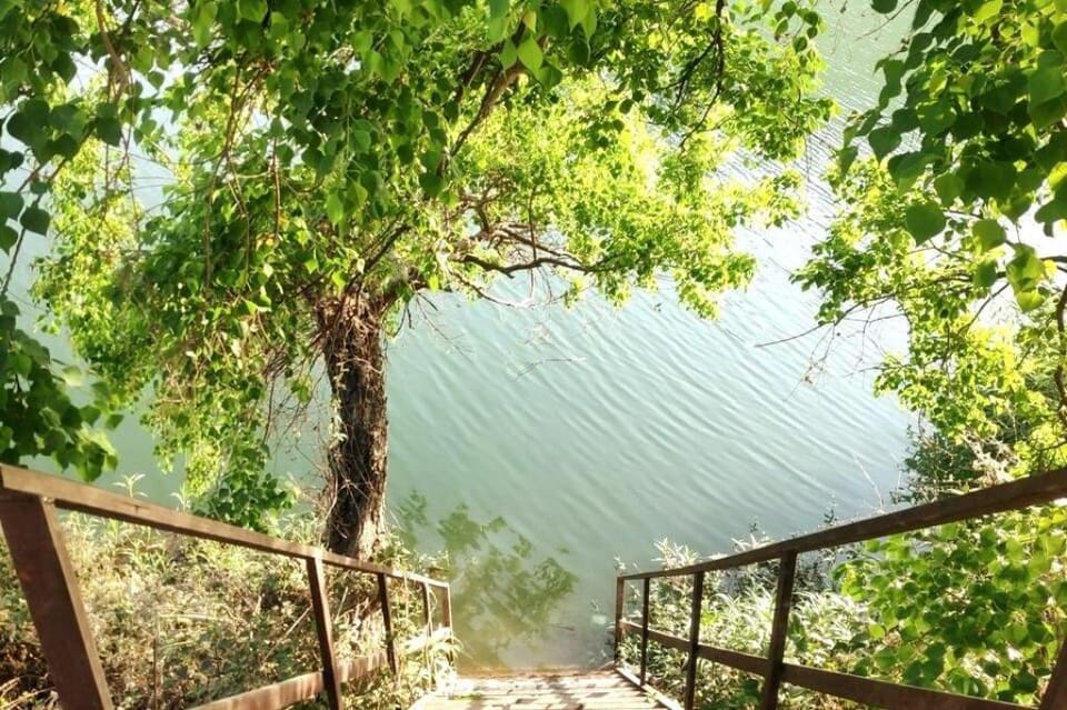 Ghughuti Basuti Homestay Vacation rental in Uttarakhand