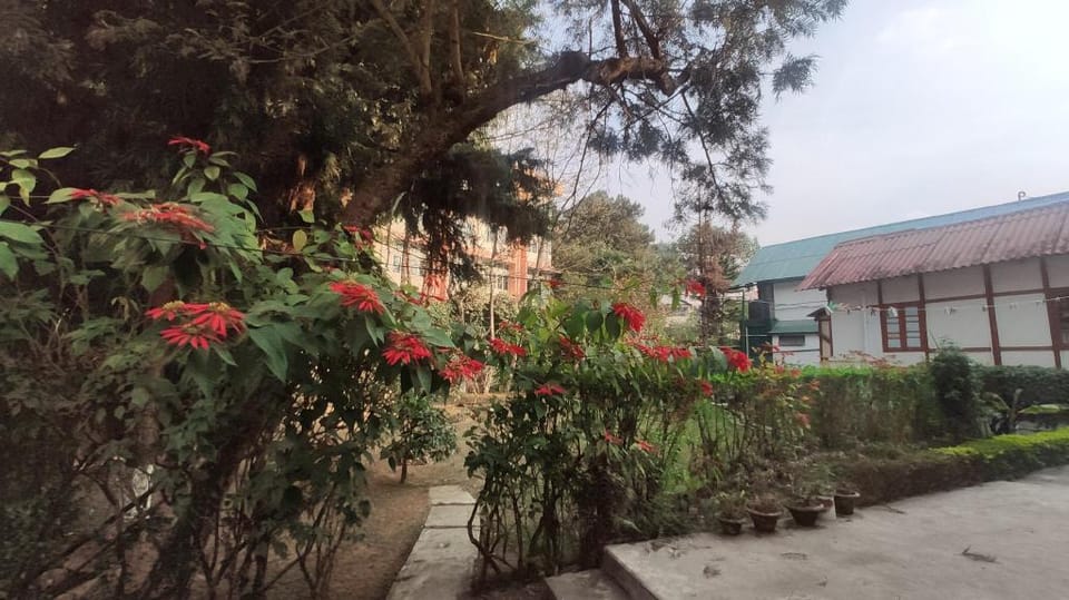 THE 1959 House Villa in Bangladesh