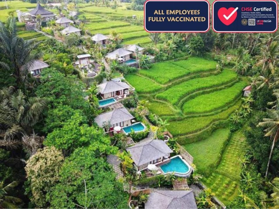 One BR Villa w/ Infinity Plunge Pool + FreeBenefit Vacation rental in Tampaksiring