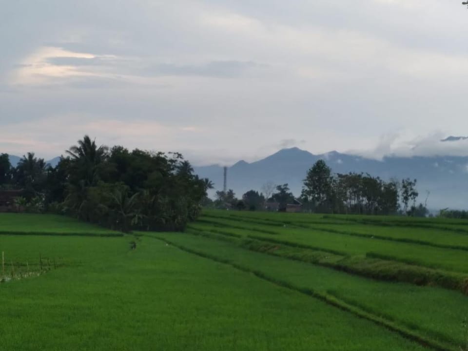 Vila Adinda Syariah C-4 (Satu Rumah 4 Kamar Tidur) Vacation rental in West Java