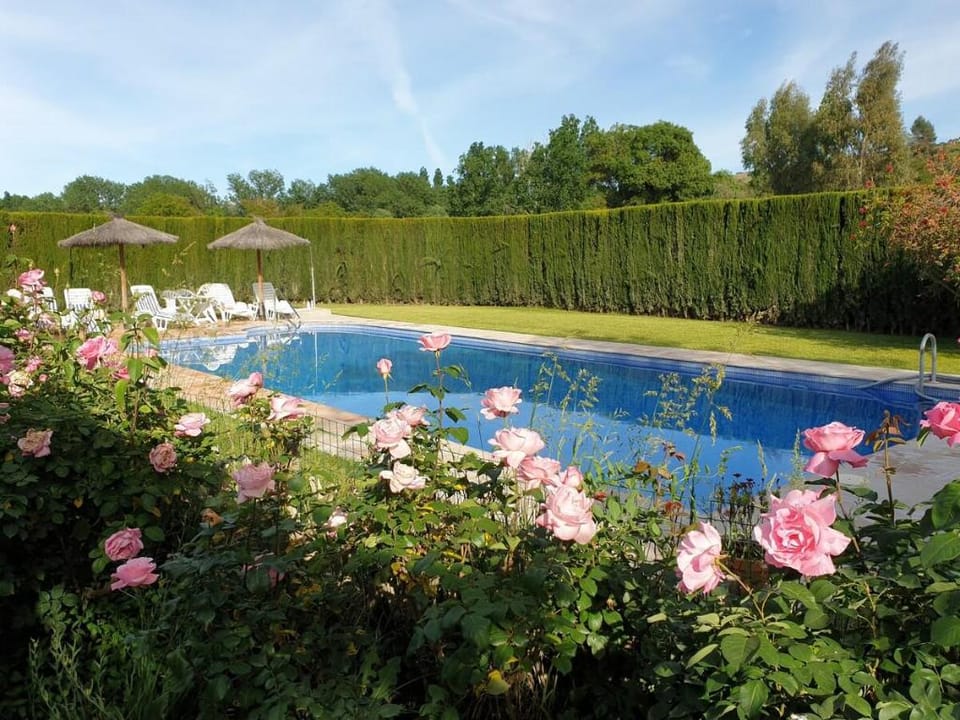 Country Villa with big Pool on Farmstead nr Ronda Villa in Sierra de Cádiz