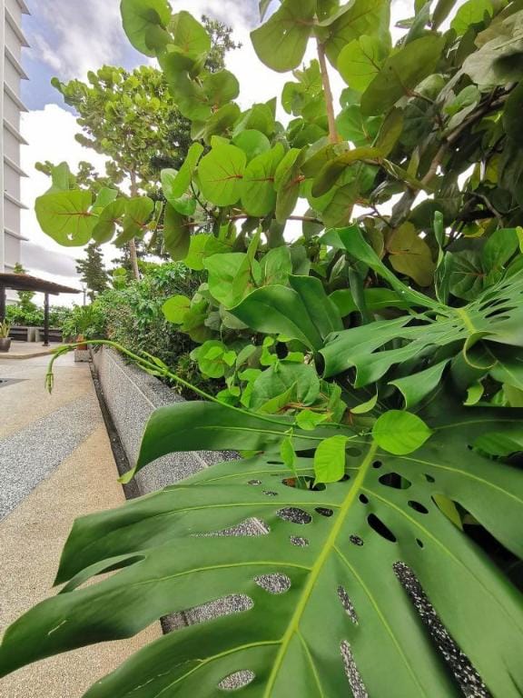 B2004 Platino 4Bedroom Netflix Paradigm Mall STAY Vacation rental in Johor Bahru