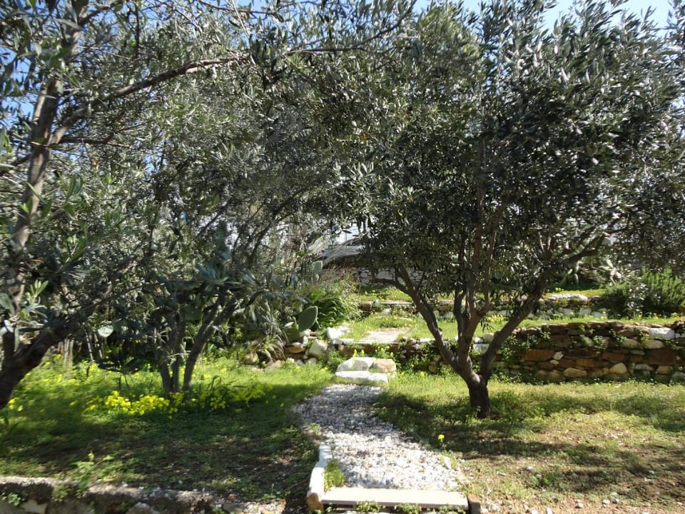 Meltemi 2 bedroom apartment Apartment in Paros, Greece