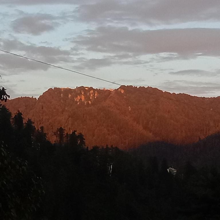 The Orchard Homestay Narkanda Shimla Vacation rental in Himachal Pradesh