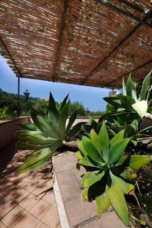 Villa Fratta Marisa Vacation rental in Sorrento