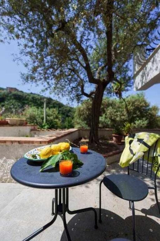 Villa Fratta Marisa Vacation rental in Sorrento