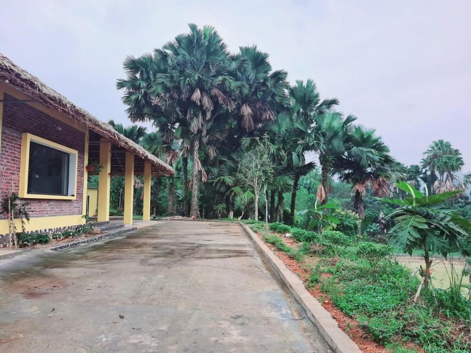 Nông trại xanh Vacation rental in Laos