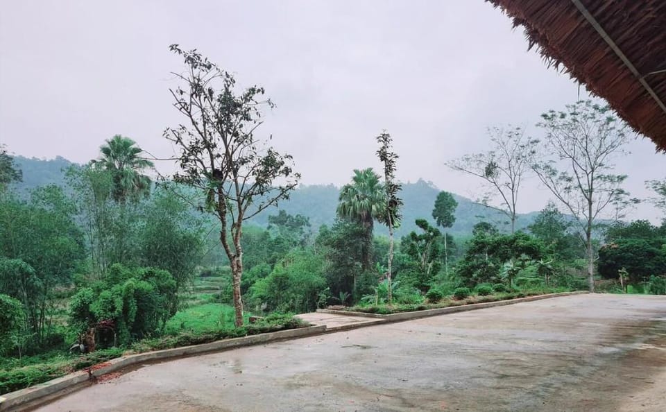 Nông trại xanh Vacation rental in Laos