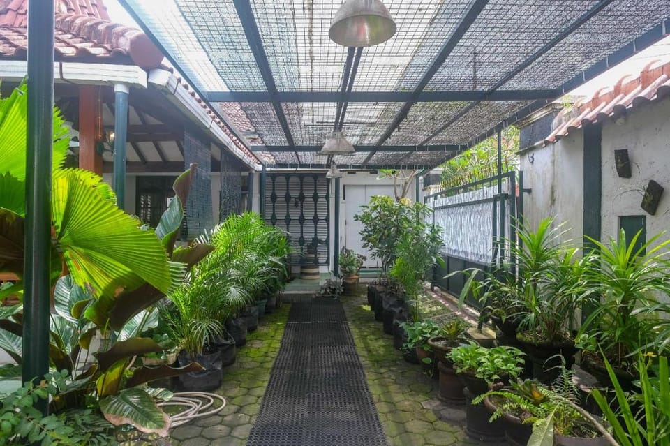 RedDoorz @ Griya Cemara Homestay Yogyakarta Hotel in Special Region of Yogyakarta
