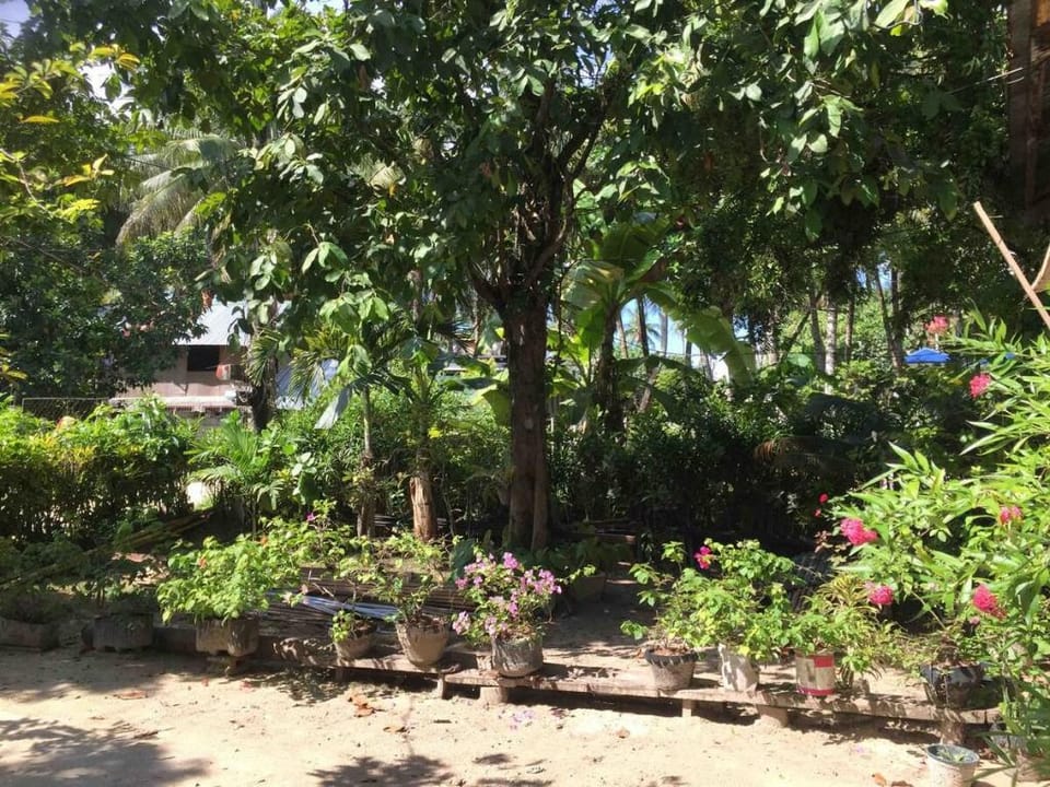 Kabayod 3 Unit  General Luna, Siargao Vacation rental in General Luna