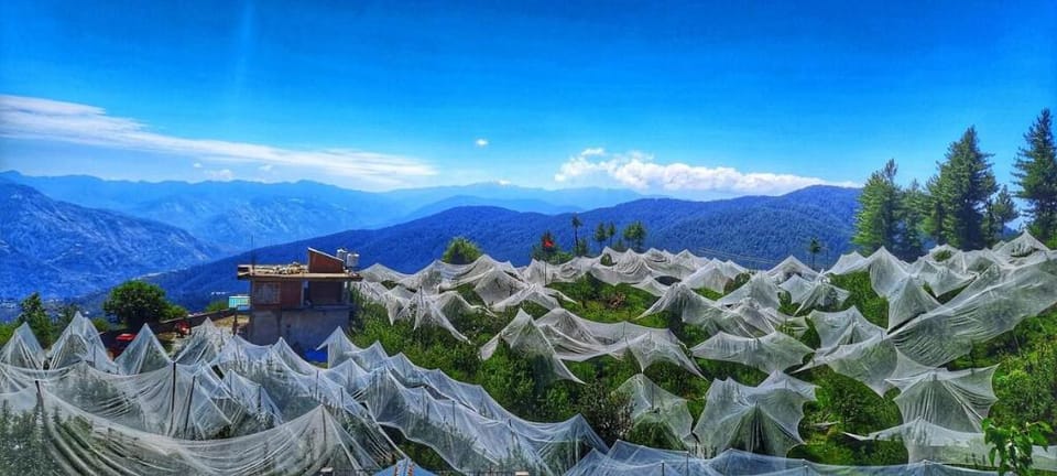 Cheerful-2.5 bedroom|Mountain view|Farm stay| Vacation rental in Himachal Pradesh