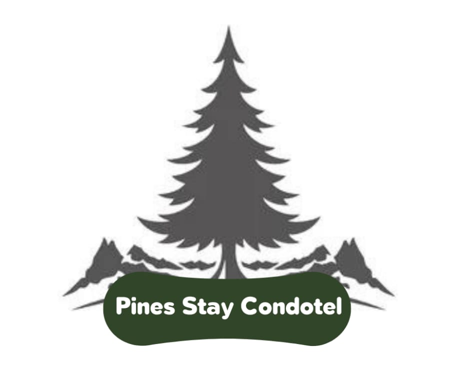 Pines Stay Condotel Near SM & Burnham w/ Terrace Apartment in Baguio