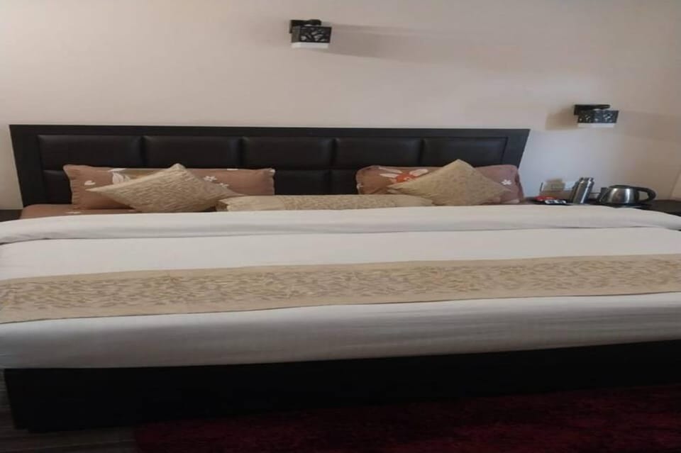 Hotel Shanti Palace Hotel in India