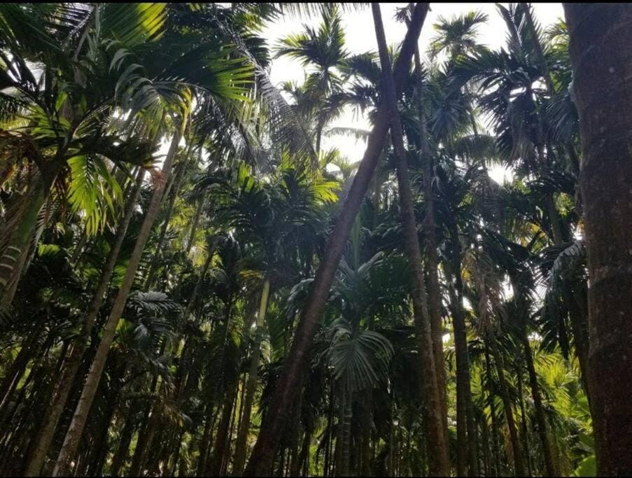 Su Casa Chaul (Apla Ghar Chaul) Vacation rental in Maharashtra
