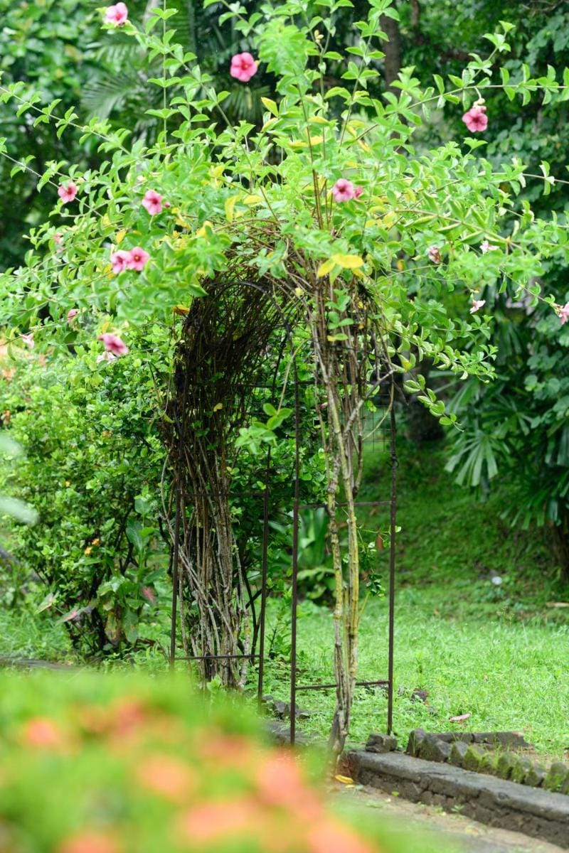 Irene's Home Bed and Breakfast in Central Province