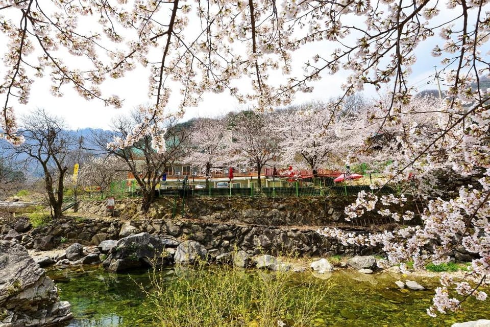 Yongchu valley yeohang pension Bed and Breakfast in Gyeonggi-do