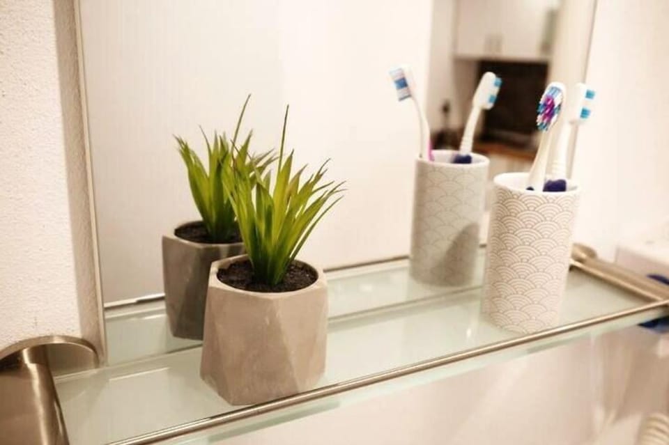 Transylvanian Apartment • Old Town Apartment in Sibiu