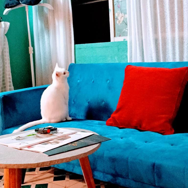 Lily's Warm Private House 134 Apartment in Ho Chi Minh City