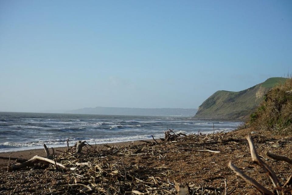 Jurassic Sea Pear Suite & Spa Vacation rental in West Dorset District