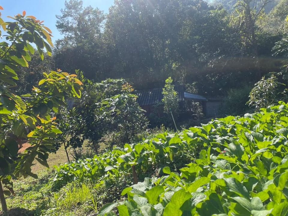 Bansuan Mitporn Vacation rental in Thailand
