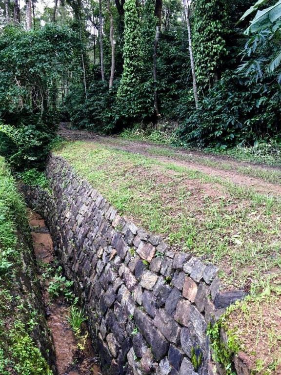 Green Glade Homestay-Coorg Vacation rental in Kerala