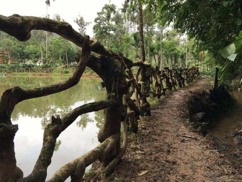 Green Glade Homestay-Coorg Vacation rental in Kerala
