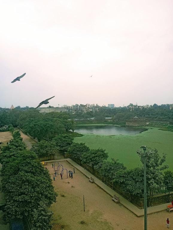 Home with an Ancient lake view in south delhi Apartment in New Delhi
