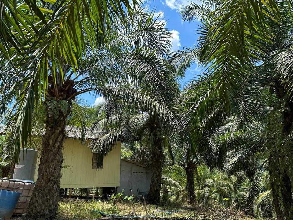 Calm Vacation rental in Surat Thani Changwat