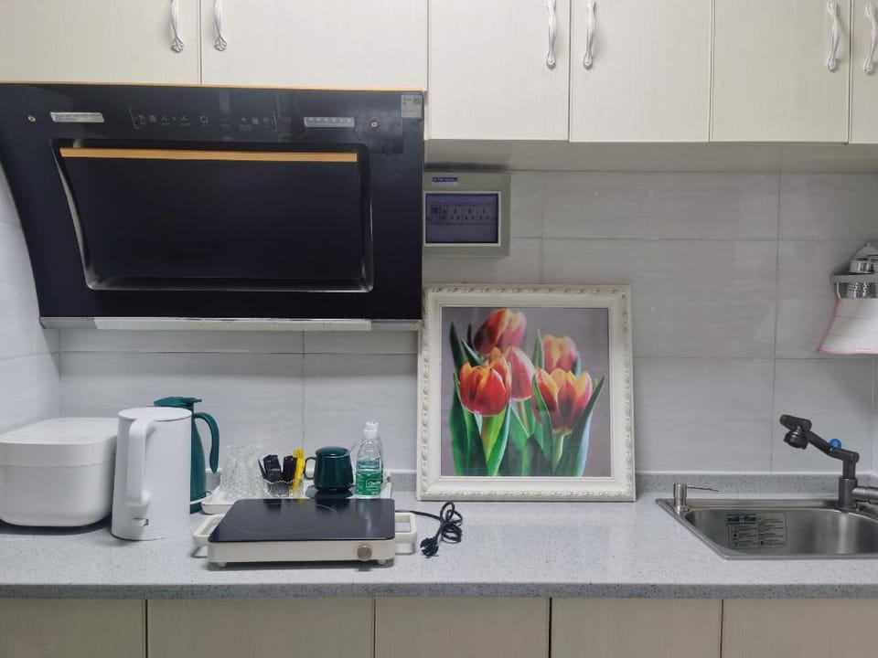 Annie's home安妮之家2号房近湿地唐园万达星月湖投影仪 Apartment in Sichuan