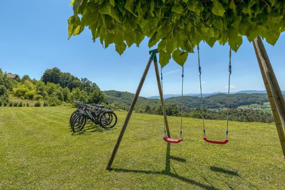 Pool & Whirlpool Villa Art Four Apartment in Slovenia